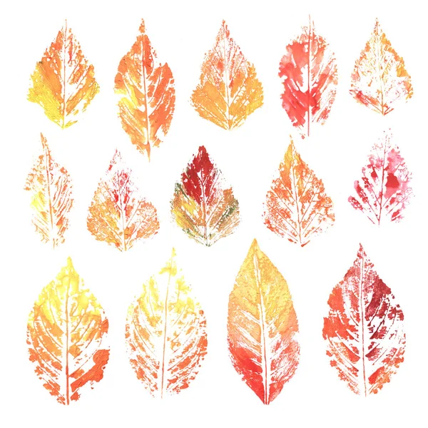 Acuarela tinta colorida impresión hojas —  Fotos de Stock