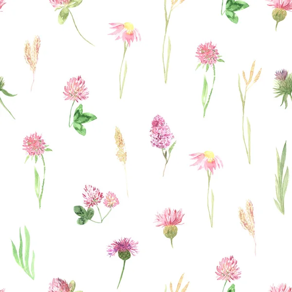Watercolor wild flowers seamless pattern — Stock Photo, Image