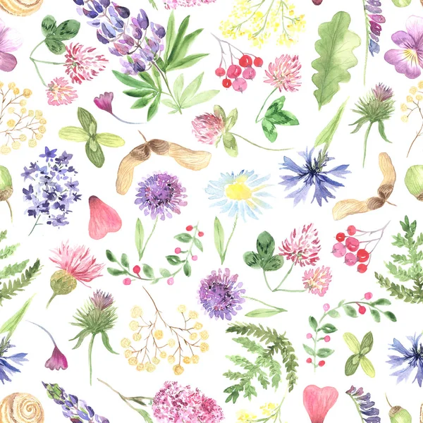 Watercolor wild flowers seamless pattern — Stok fotoğraf