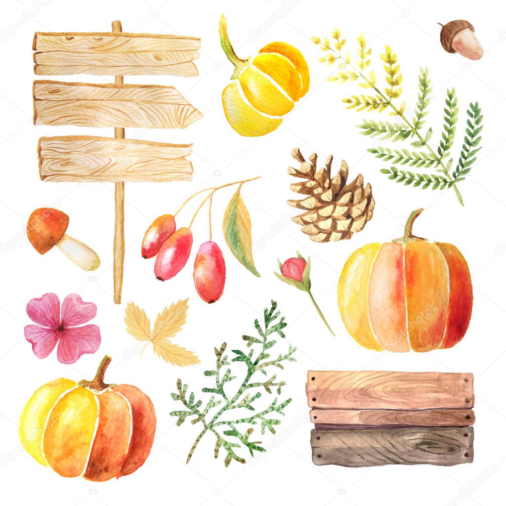 Watercolor autumn leaves, pumpkins and berries