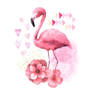 Suluboya tropikal pembe flamingo