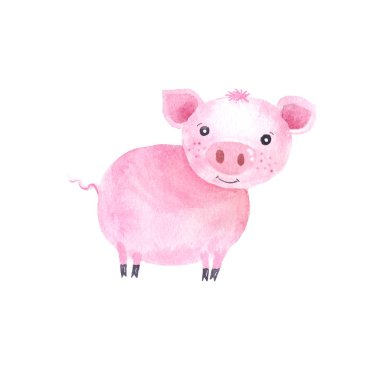 Suluboya sevimli domuzlar