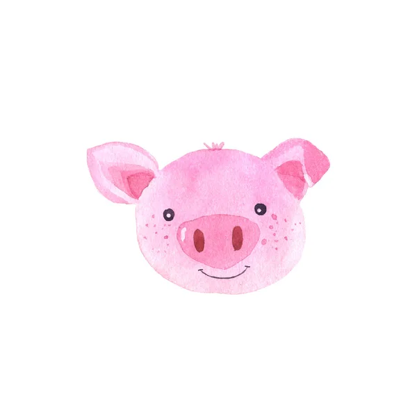 Akwarela cute świń znaków — Zdjęcie stockowe