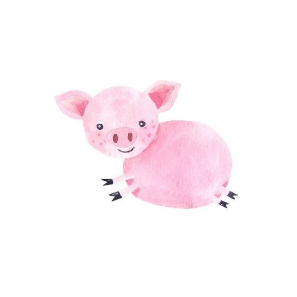 水彩画可爱的猪角色 — 图库照片