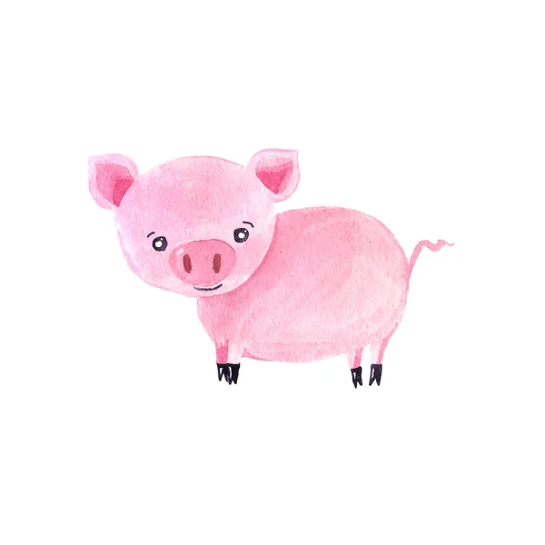 Aquarelle personnages de cochons mignons — Photo