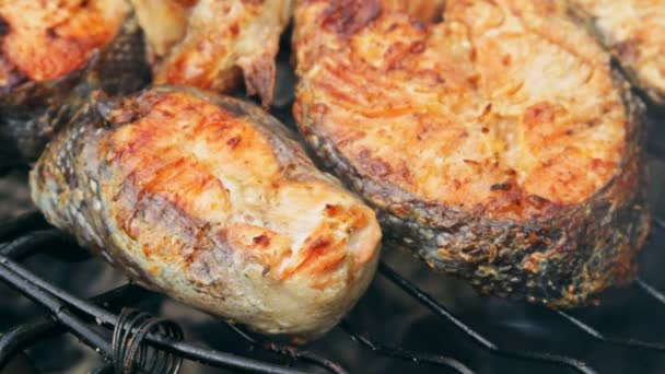 Fried grilled salmon on bbq. Marinade from white sauce and lemon. — Stock Footage Fried grilled salmon on bbq. Marinade from white sauce and lemon. Stock Footage