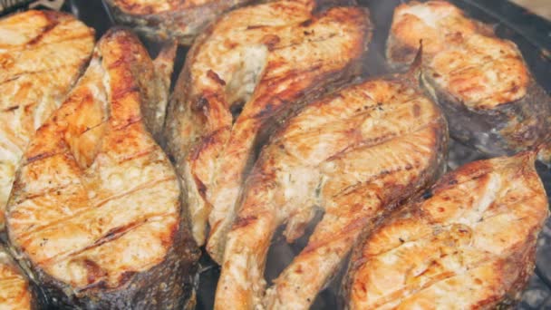 Fried grilled salmon on bbq. Marinade from white sauce and lemon. — Stock Footage Fried grilled salmon on bbq. Marinade from white sauce and lemon. Royalty Free Stock Video