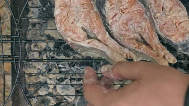 Fried grilled salmon on bbq. Marinade from white sauce and lemon. — Stock Footage Fried grilled salmon on bbq. Marinade from white sauce and lemon. Stock Footage