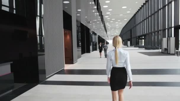 Mensen Uit Het Bedrijfsleven Lopend Pratend Lobby Van Kantoorgebouw — Stockvideo