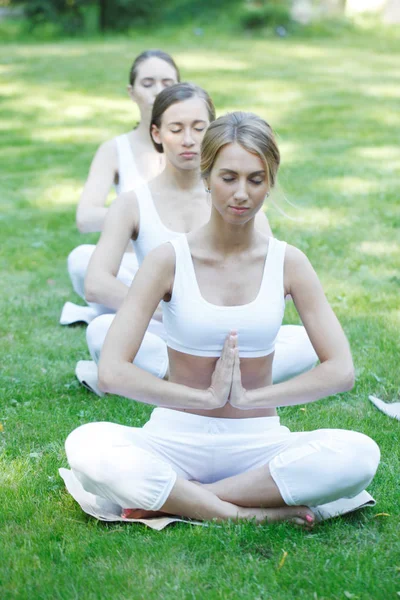 Mujeres Sentadas Posición Loto Durante Entrenamiento Yoga Parque —  Fotos de Stock