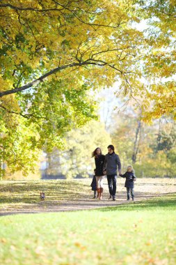 El ele tutuşarak güneşli sonbahar Park'ta yürüyordunuz iki çocuklu mutlu aile