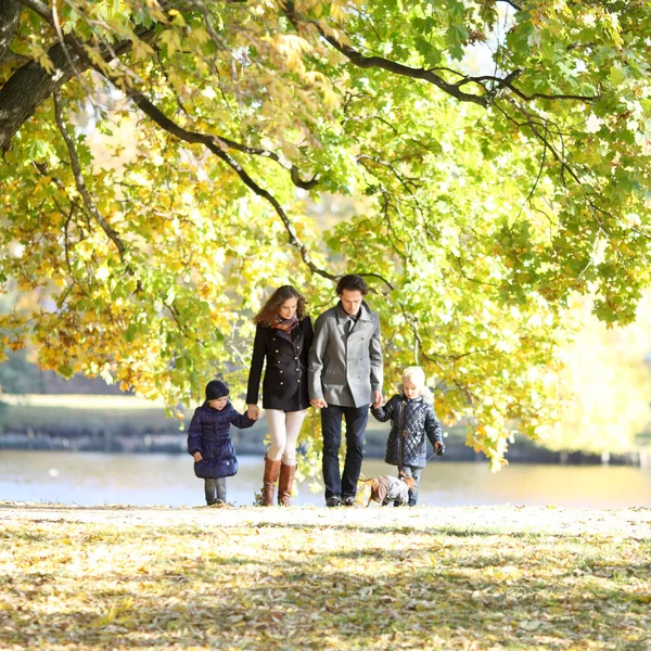 Ele Tutuşarak Güneşli Sonbahar Park Yürüyordunuz Iki Çocuklu Mutlu Aile — Stok fotoğraf