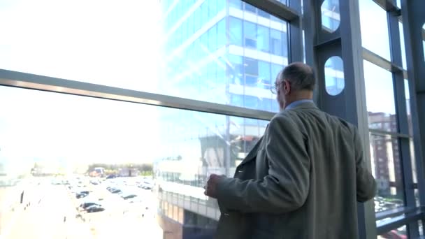 창에서 실업가의 초상화 — 비디오