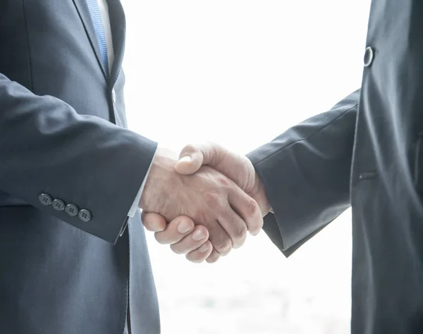 Twee Zakenmannen Schudden Elkaar Hand Bij Ramen Kantoor — Stockfoto