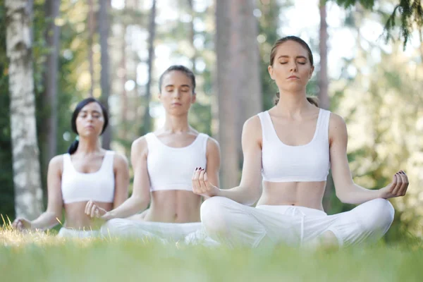 Group of people practicing yoga — Stock Photo, Image