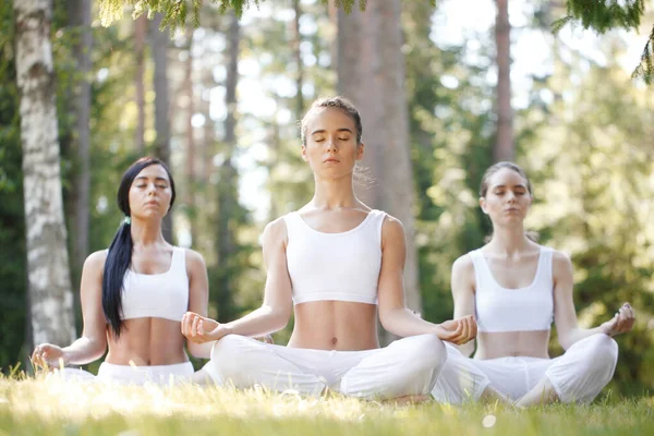 公园集体瑜伽训练期间 身穿白色运动服的女性坐在荷花的位置上 — 图库照片