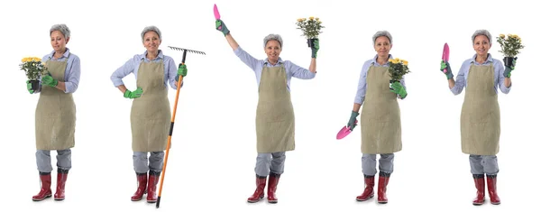 Giardinaggio Donna Matura Giardiniere Lavoratore Con Fiori Rastrello Scoop Set — Foto Stock