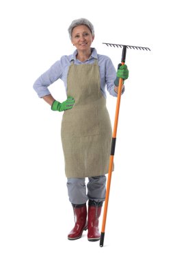 Gardening. Mature woman gardener worker with rake isolated on white background, full length portrait clipart