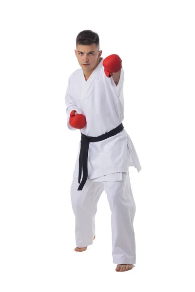 Εκπαίδευση Μαχητών Ανδρών Taekwondo Απομονωμένη Λευκό Φόντο — Φωτογραφία Αρχείου