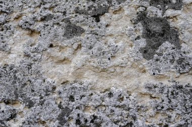 Eski Beton Duvar kabartması. İyi görünür doku.