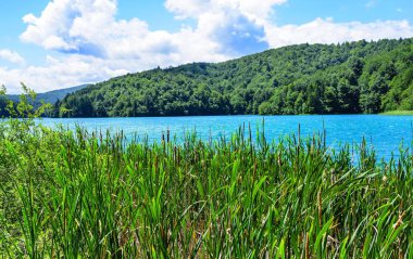 Sazlık Plitvice Gölleri Milli Parkı topraklarında rezervuar.
