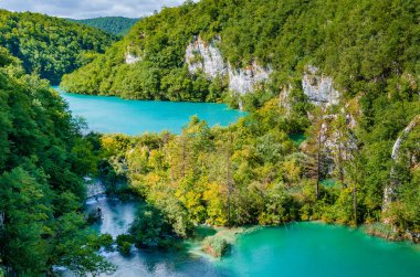 Göller ve şelaleler yoğun orman arasında.