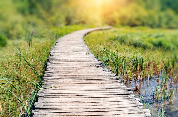 El camino de las placas de madera entre la pintoresca vegetación y el estanque . — Foto de Stock