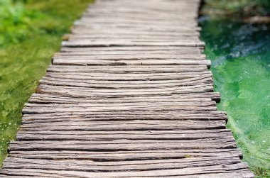 Yolun pitoresk bitki örtüsü ve su birikintisi arasında ahşap plakaların.