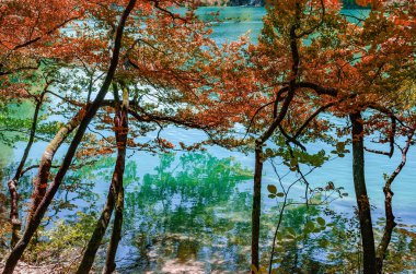 Göller ve şelaleler yoğun orman arasında.