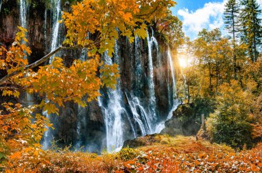 Göller ve şelaleler yoğun orman arasında.