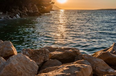Kayalar ve çam deniz kıyısında günbatımı.