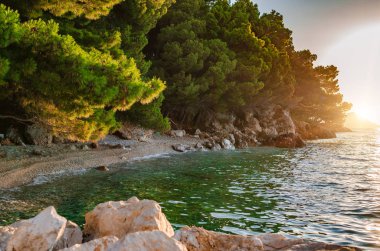 Kayalar ve çam deniz kıyısında günbatımı.