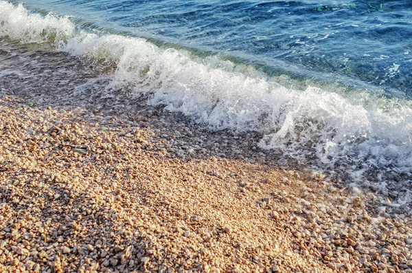 Deniz Taşlı bir plajda sörf. — Stok fotoğraf