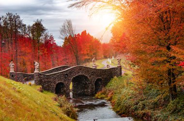 Sonbahar orman manzara. Bir yağmurlu günde sonbahar park. Creek Park üzerinde köprü.
