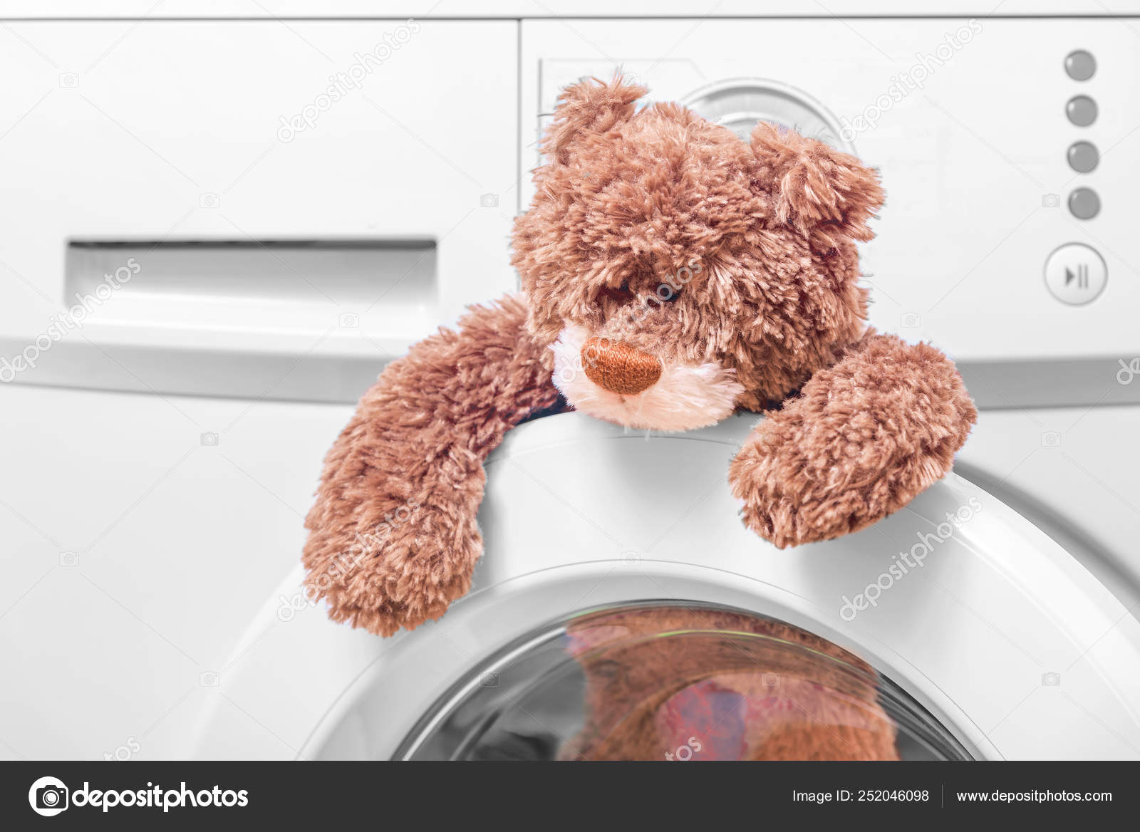 teddy bear washing machine