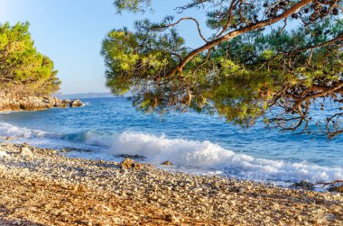 Kıyı taşlar üzerinde dalgalar beat.