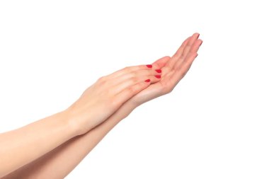 beyaz zemin üzerinde güzel eller.