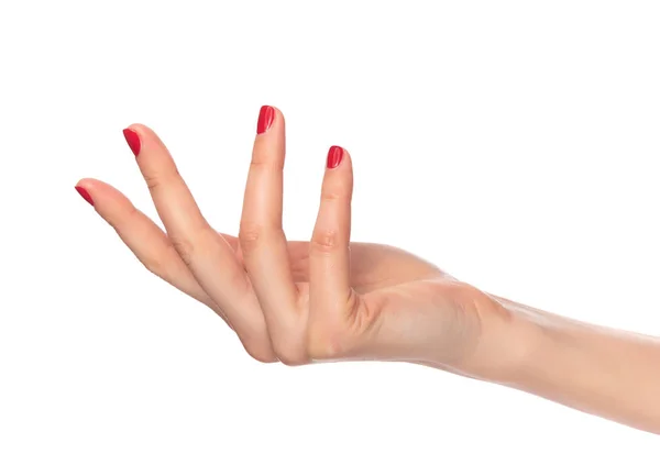 Schöne weibliche Hände auf weißem Hintergrund. — Stockfoto