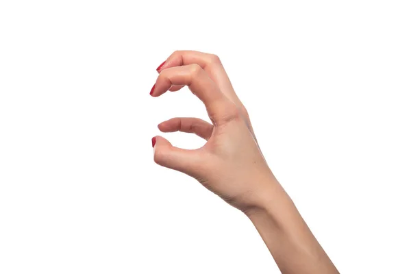 La mano femenina muestra las garras de los animales sobre fondo blanco . —  Fotos de Stock