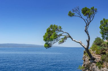 Brela, Makarska Coast, Hırvatistan.