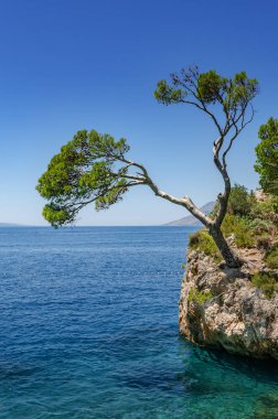 Brela, Makarska Coast, Hırvatistan.