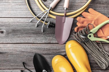 Ahşap arka planda bahçe aletleri ve aletleri.