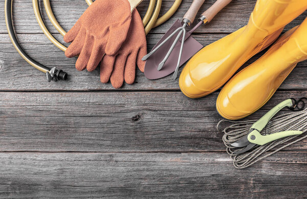 Garden tools and instruments on a wooden background.