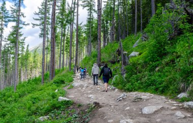Tatra Dağları'ndaki dağ parkurlarında turistler, Slovakya.