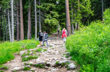 Tatra Dağları'ndaki dağ parkurlarında turistler, Slovakya.