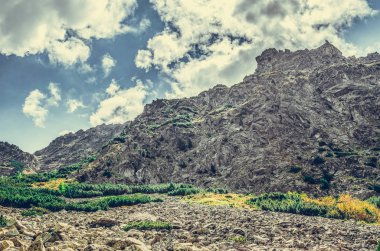 Slovakya'daki Tatra Dağları'ndaki bir ormanda bir patika. Avrupa.