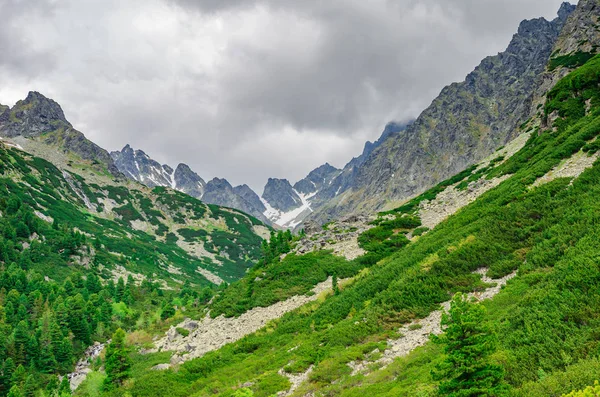 Un camino en un bosque en las montañas Tatra en Eslovaquia. Europa . — Foto de Stock