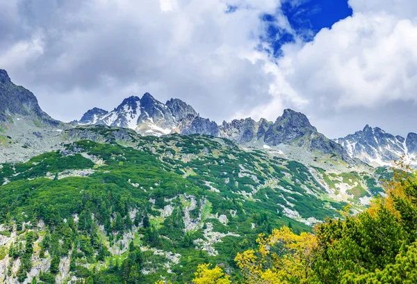 Slovakya'daki Tatra Dağları'ndaki bir ormanda bir patika. Avrupa.