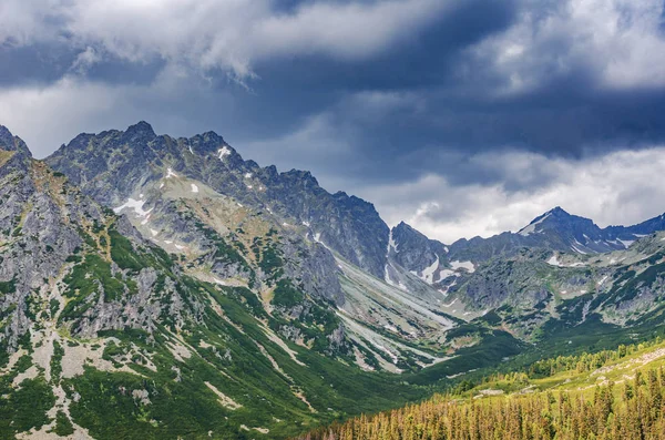 Un camino en un bosque en las montañas Tatra en Eslovaquia. Europa . —  Fotos de Stock