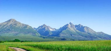Yüksek Tatras, Slovakya. Bir yaz gününde bir dağ sırasının manzara.